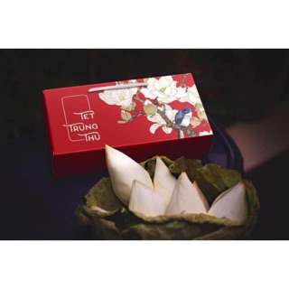 Hộp 2 bánh mẫu 2020 - Hộp trung thu, hộp đựng bánh trung thu 2 bánh