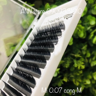 MI 0.07 CONG M