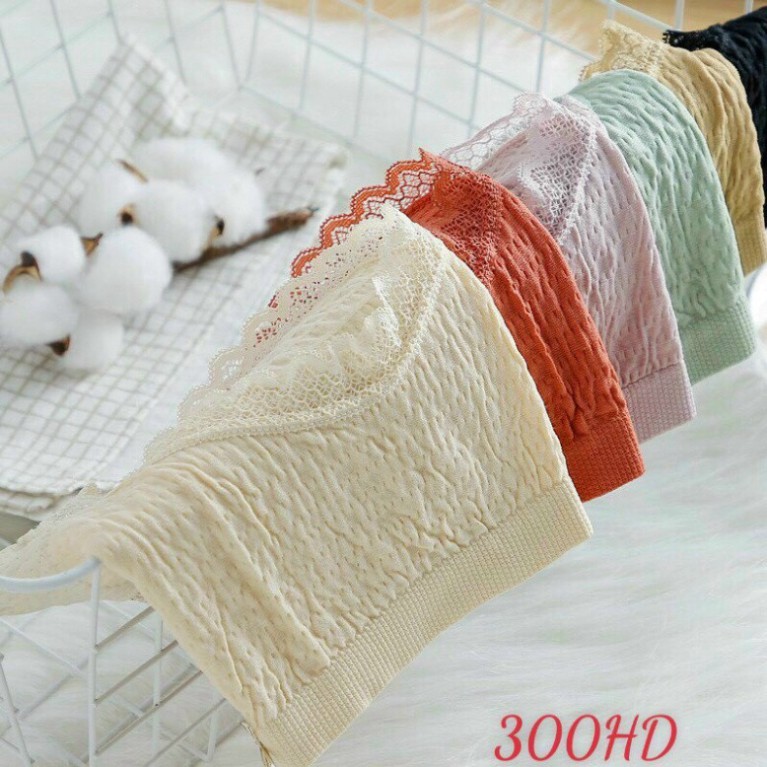 SÉT 10 Quần Lót Nữ len dệt kim kháng khuẩn , quần lót nữ