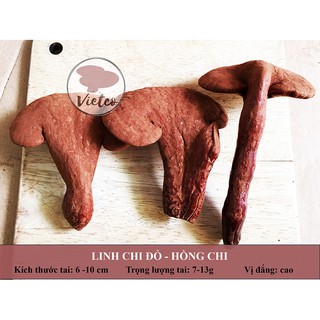 Nấm Linh Chi Đỏ Thái Lát - Hồng Chi (Còn Nguyên Bào Tử)