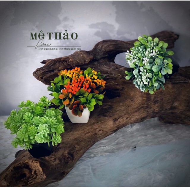 (Ảnh shop chụp) Chậu Hoa Sen Đá Giả Mini Trang Trí Nhà Cửa, Decor Phòng Khách Chất Liệu Lụa Cao Cấp Mê Thảo Flower