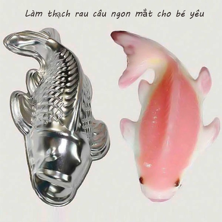 Khuôn cá chép inox size lớn