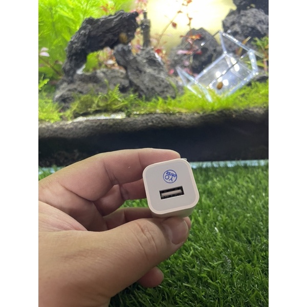 củ sạc vuông ip 5W dành cho điện thoại,máy tính bảng