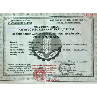 TRÀ SÂM DỨA ĐẶC SẢN B'LAO LÂM ĐỒNG