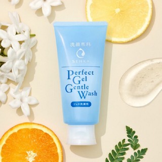 Gel rửa mặt dịu nhẹ dành cho da nhạy cảm Senka Perfect Gel Gentle Wash 100g