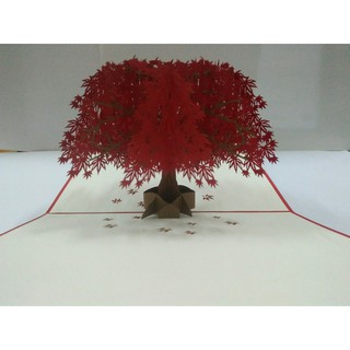 THIỆP 3D CÂY PHONG LÁ ĐỎ - POPUPCARD KT96