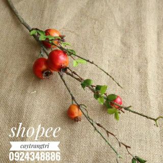🍒 Cành Lựu 5 quả Trang Trí