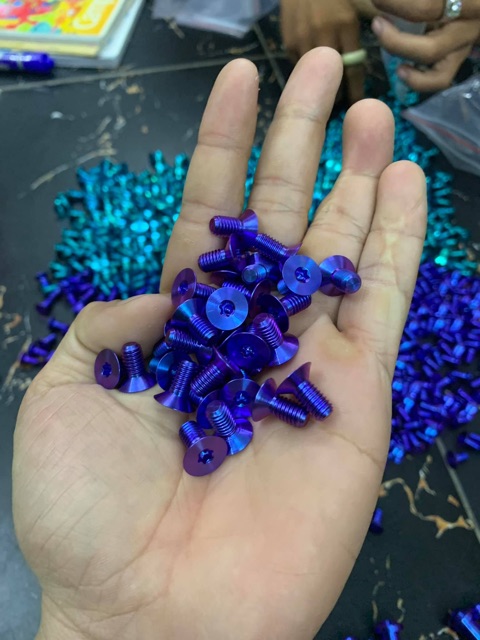 Ốc lòng đĩa Gr5