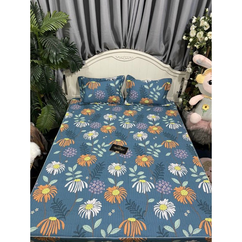 Bộ ga gối cotton chun trần bền đẹp, đủ kích thước (ảnh thật)