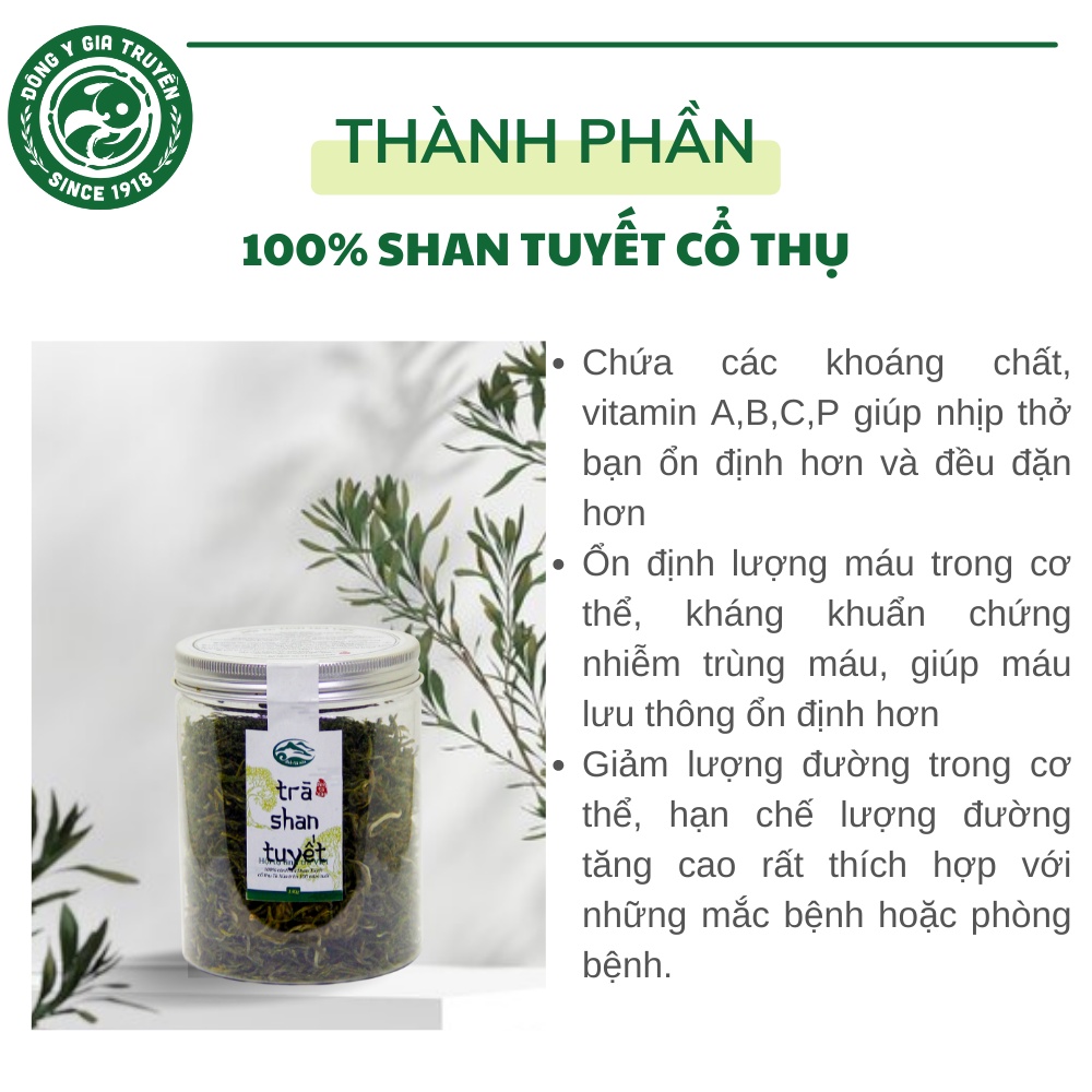 Chè Shan tuyết giúp thanh nhiệt giải độc, bảo vệ gan, đẹp da, chống lão hóa, tăng cường hệ miễn dịch và ngừa ung thư