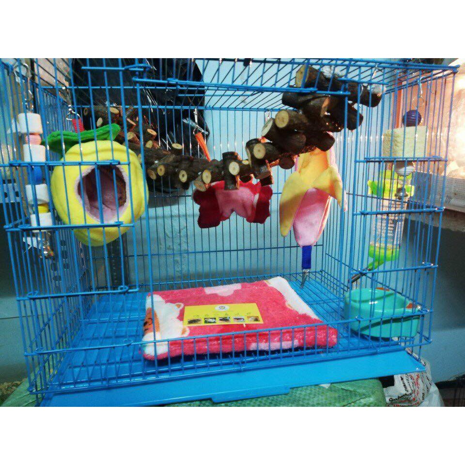 Dây leo gỗ thông cho Sóc,hamster dài 40cm -50cm