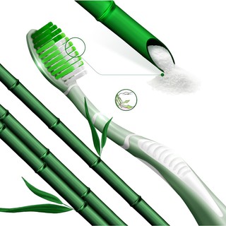 Bàn chải đánh răng P/s muối tre