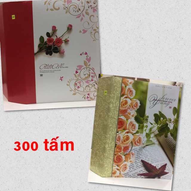 Album 13x18 số lượng từ 136 - 360 tấm có hộp