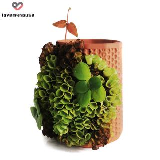 Chậu Gốm Trồng Cây Có Lỗ Thoát Nước