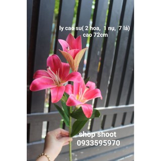 HOA LILY CAO SU TRANG TRÍ NHÀ