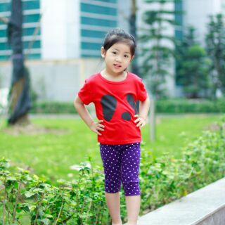 Combo 6 quần legging cho bé gái