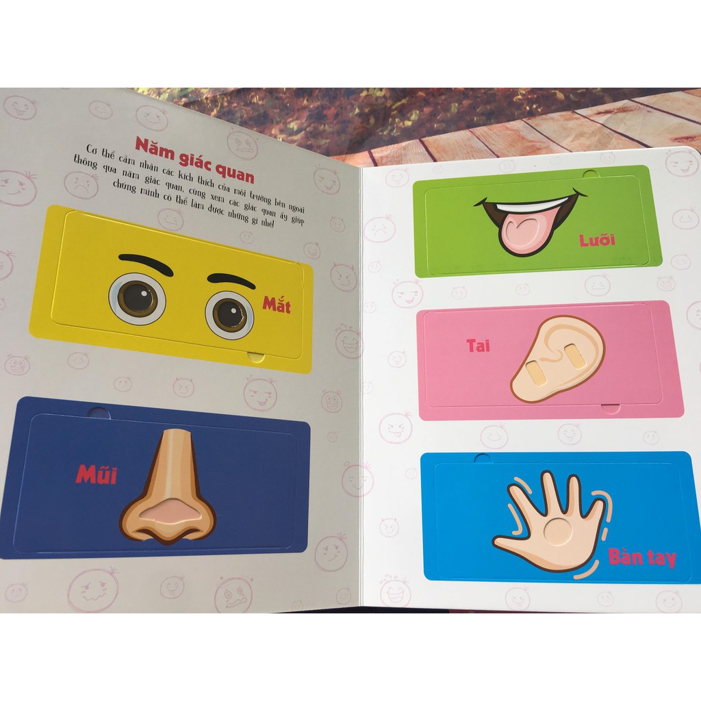 Sách Đinh Tị - Lift - The – Flap - Lật Mở Khám Phá - The Body - Cơ Thể Người