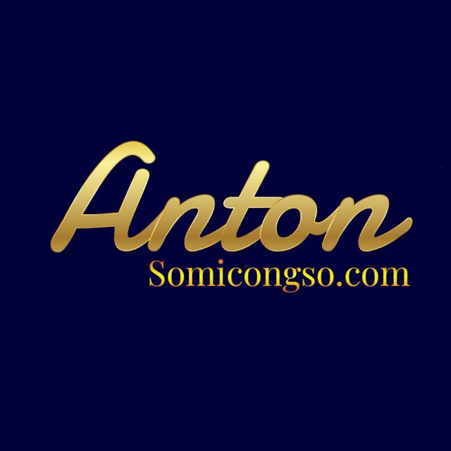 Thời trang công sở Anton