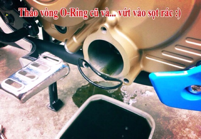 RON NẮP LỌC NHỚT SATRIA/RAIDER/GSX/FX/GD110/Viva Fi (Oring to và nhỏ)