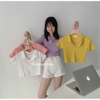 Áo croptop cổ polo ( thun bozip loại đẹp )