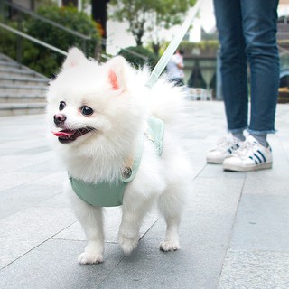 Áo dây dắt cute cho chó mèo ( tặng kèm dây dắt)