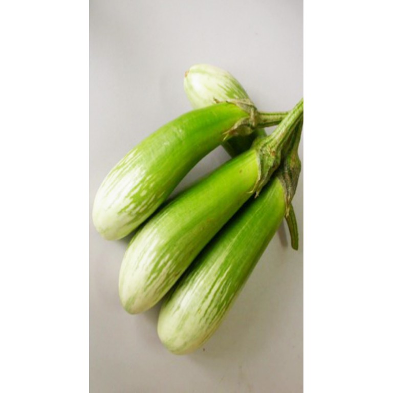 HẠT CÀ PHỔI SỌC LEM F1 - GÓI 1 GRAM