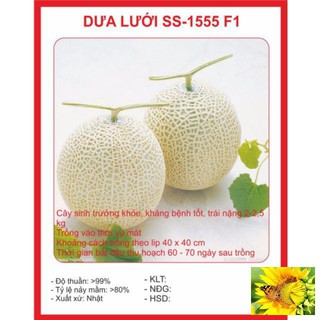 Hạt giống dưa lưới tròn 10 hạt