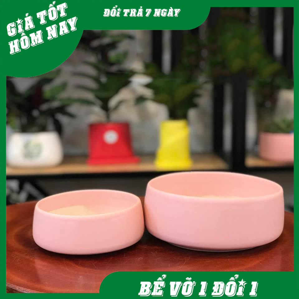Chậu trụ thấp Bát Tràng trồng cây mix sen đá, xương rồng, cây cảnh để bàn đường kính 13-17cm