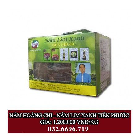 Nấm Lim Xanh Hoàng Chi