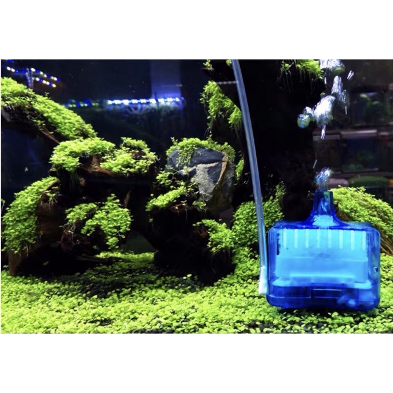 Lọc Sủi Vi Sinh SHENGANG Tạo Oxy Lọc Nước Cho Hồ Cá Tép Thuỷ Sinh | Lọc Vi Sinh Tích Hợp Vật Liệu Lọc