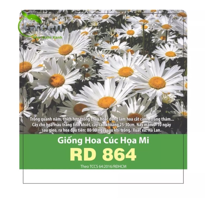 Hạt Giống Cúc Hoạ Mi 864