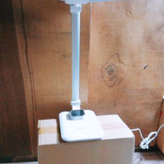 Đèn bàn led nối mi 2 nhánh lớn
