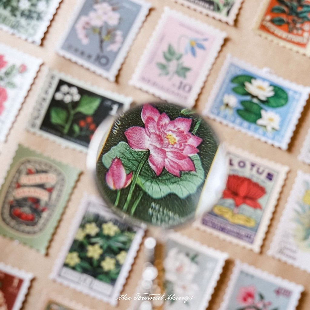 Sticker Tem Postcard Vintage