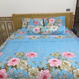 Conbo set chăn ga gối đông khách sỉ