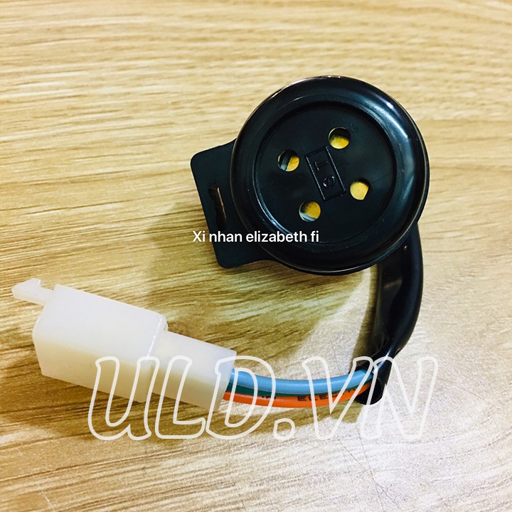 CỤC CHỚP XI NHAN ELIZABETH FI