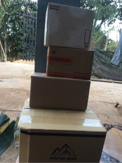 Bơ 034 Lâm Đồng 35 - 58k / 1kg