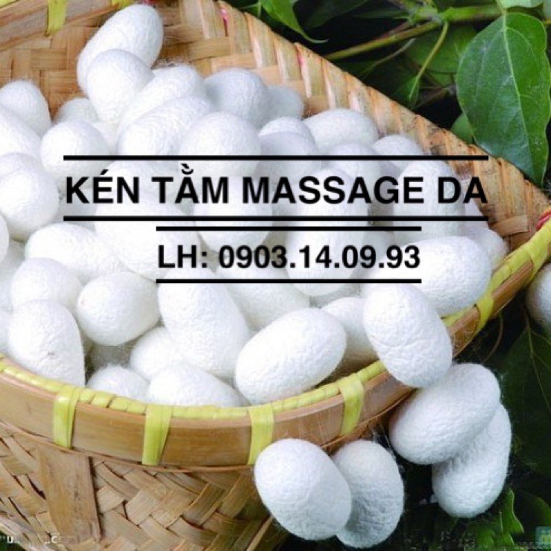 1 Chiếc Kén Tằm Tự Nhiên Massage Da Mặt Sáng Mịn