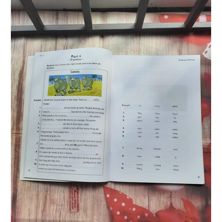 Bản đẹp Test Flyer 1-3