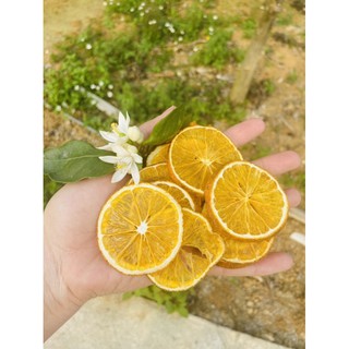 Cam Úc Sấy Khô LACTHUY FARM 100g