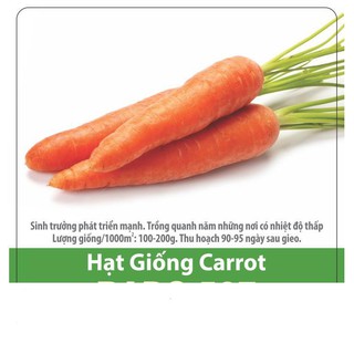 Hạt giống cà rốt củ to f1 - giàu vitamin 5gr