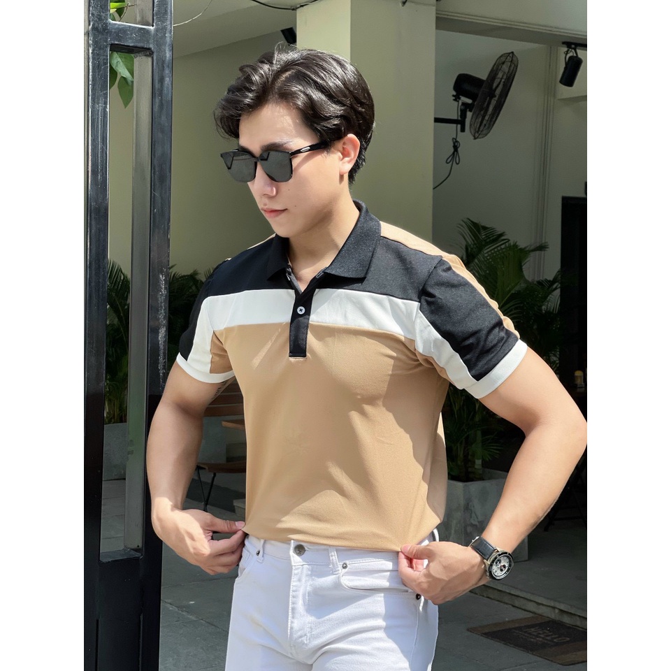 Áo polo nam cổ bẻ vải cá sấu Cotton xuất xịn,chuẩn form, sang trọng - thanh lịch TB013