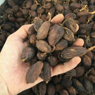 Sỉ giá gốc thảo quả khô 500g