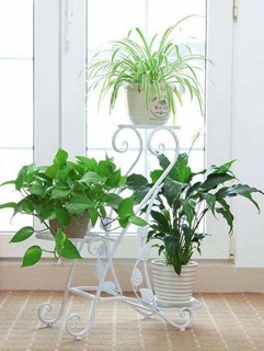 Kệ để chậu hoa chơi tết
