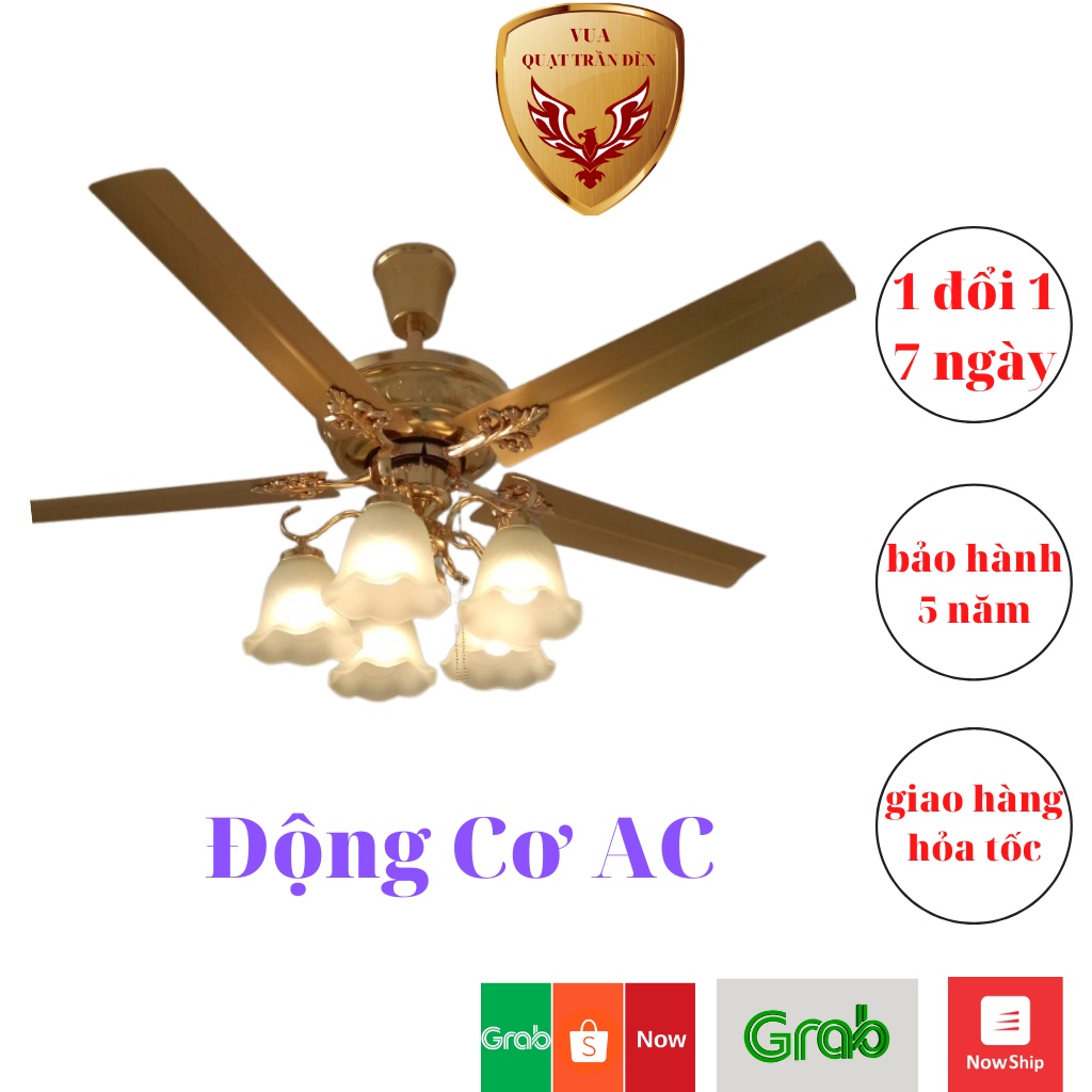 Quạt Trần Trang Trí Phòng Khách QTD2365, Quạt Trần Có Đèn/Điều Khiển Từ Xa, Động Cơ AC