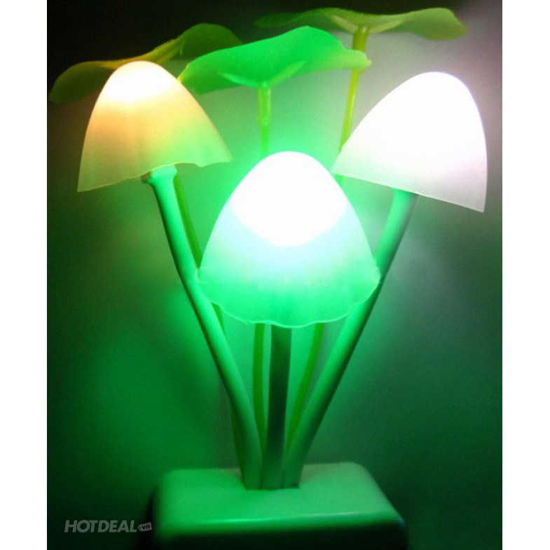 Đèn ngủ nấm cảm ứng led tự sáng siêu đáng yêu, mang ánh sáng dịu nhẹ cho căn phòng của bạn