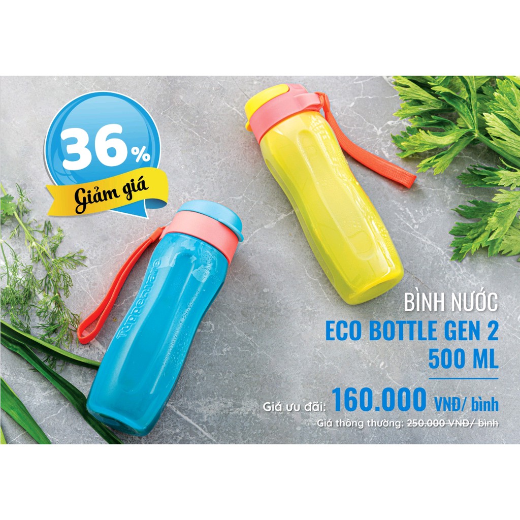 BÌNH NƯỚC ECO BOTTLE GEN II 500ML