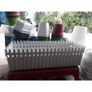 Chậu hàng rào lớn 60cm×18cm×21cm