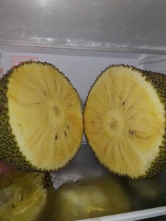 Mít không hạt