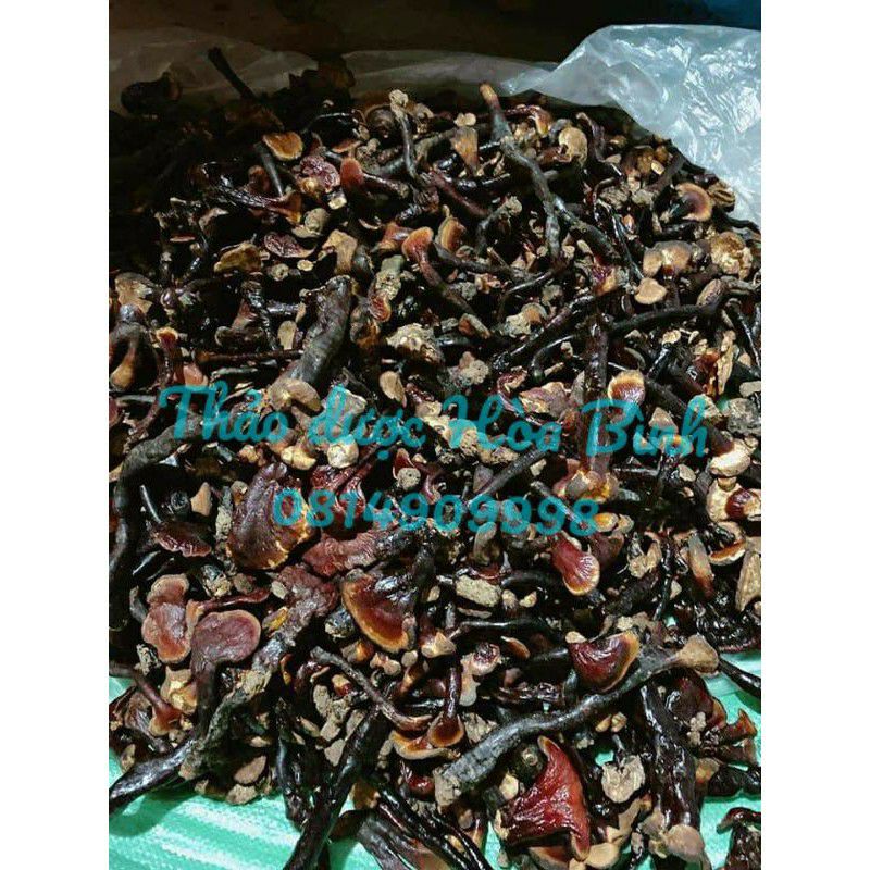 500g Nấm Lim Xanh Rừng - Hàng chuẩn tự nhiên 100% Hàng loại nhỏ,  mới, thơm