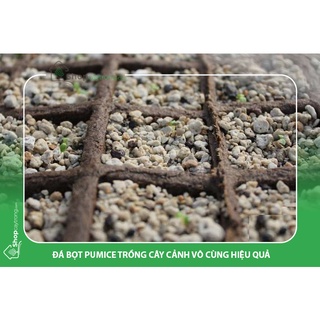 Đá pumice, đá bọt size 1-3mm